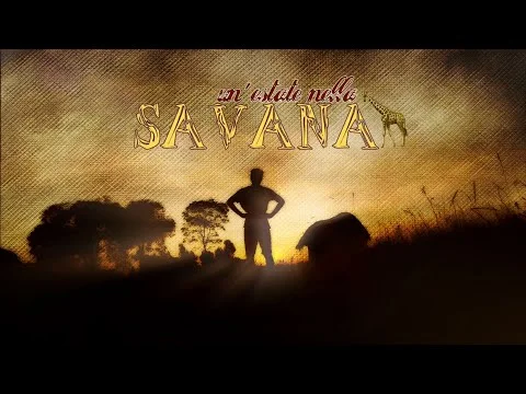 A Summer In The Savannah — Documentary Series